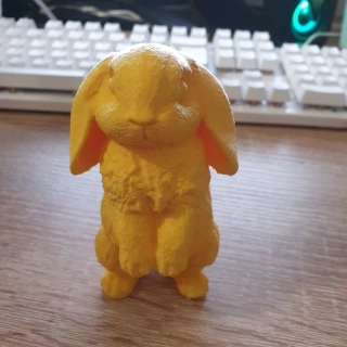Králíček